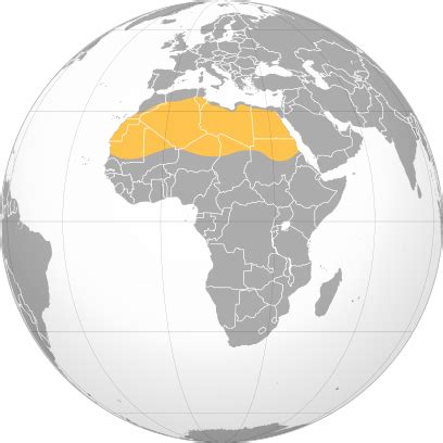 Sahara — Wikipédia